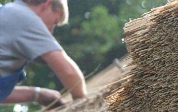 professional Waen thatchers