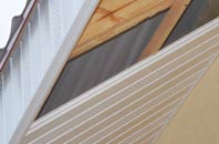 rated Waen soffit repair companies